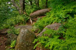11  CM561A-Heather-and-Vivaldo,-Newbury-Trail,-Mt-Sunapee--.jpg